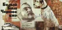 Yellow англійською - Жовтий - Смішні Анекдоти Історії Цитати Афоризми Віршики Картинки прикольні англійською