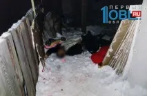 Хронологія Міаський стрілець міаський