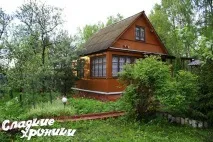 Закуска з баклажанів - 2 оригінальні рецепти швидких салатів рецепти