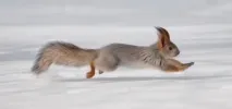 порозі