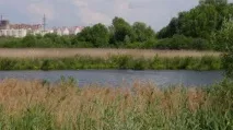 Заповідна природа Ульянівської області заповідна