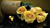 Жовті троянди фото, види, назва та опис кращих сортів, значення та символізм, застосування в жовті