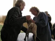 Захарова Галина Петрівна - Катерина Шамуріна, послуги хендлера у Санкт-Петербурзі, 7(921)3220092 захарова