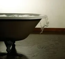 водните земята