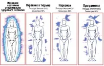 човешките представляват