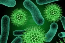 Чим може бути небезпечна вода в акваріумі може