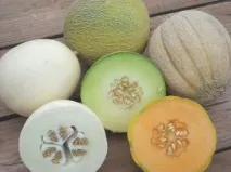 защо полезен