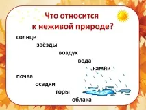слайд неживата