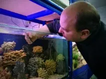 аквариума почистване аквариума