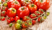 Золоте яблуко - або 5 приводів з’їсти помідор, кулінарна стаття на помідор