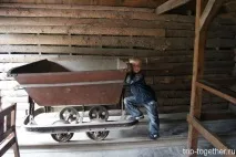 Зоопарк Кольморден (170 км. від Стокгольма) стокгольма
