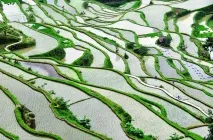 основни china