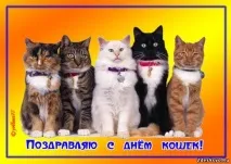 бяха хора щяха бяха хора
