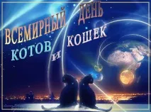 котките бяха хора
