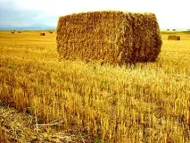 20 найуживаніших англійських ідіом - Multilingua blog ідіом