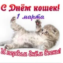 котките бяха хора щяха