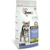 kitten choice
