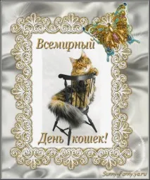 котките световен