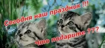 световен бяха хора