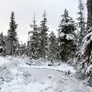 къща проект