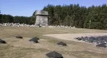 сиротін
