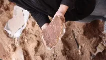Археологи прочитали - стінгазету - XII століття, написану на штукатурці храму археологи