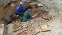 Археологи прочитали - стінгазету - XII століття, написану на штукатурці храму археологи