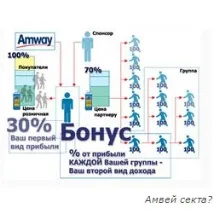 Амвей секта, МЛМ бізнес, МЛМ бізнес в Інтернеті секта