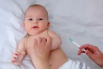 Абетка щеплень щеплень