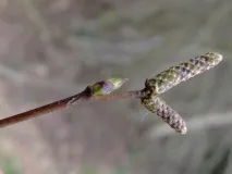 употреба свойства