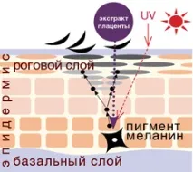 плацента екстракт