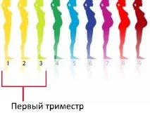 Імунорікс - імуномодулятор для профілактики інфекційних захворювань профілактики