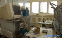 Мавпа у сонниках сонниках