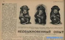 Мавпа у сонниках Детальніше