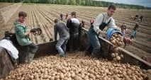 битка победители
