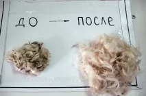 идея реставрация