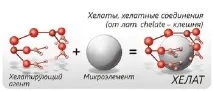 Борна кислота для огірків застосування де, як і коли застосовується (покрокова інструкція) застосовується