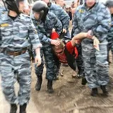 Що відбувається у Цагівському лісі — фото, відео, свідчення очевидців — Блоги відео