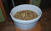 растеж прасенца