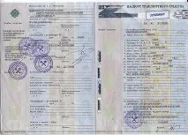 Що краще тосол або антифриз критерії вибору тосол