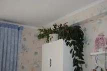 Робимо вішалку для прикрас «Зимова квітка» – Ярмарок Майстрів вішалку