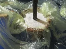 Дерево щастя своїми руками дерево
