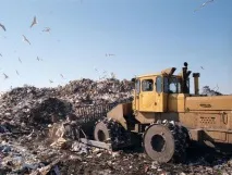 Справи дачні хто і куди має вивозити сміття, Суспільство, Аргументи та Факти справи