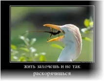 Забавен демотиватор забавни демотиватори
