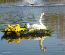квіткові