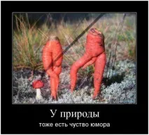 Забавен демотиватор демотиватори