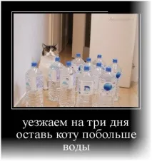 демотиватори демотиватори