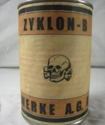 история zyklon