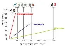 еволюції