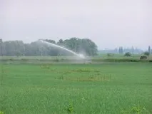 спринклерни системи